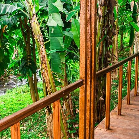 Rio do Ouro Eco-Por 빌라 외부 사진