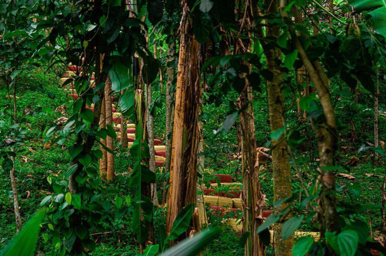 Rio do Ouro Eco-Por 빌라 외부 사진