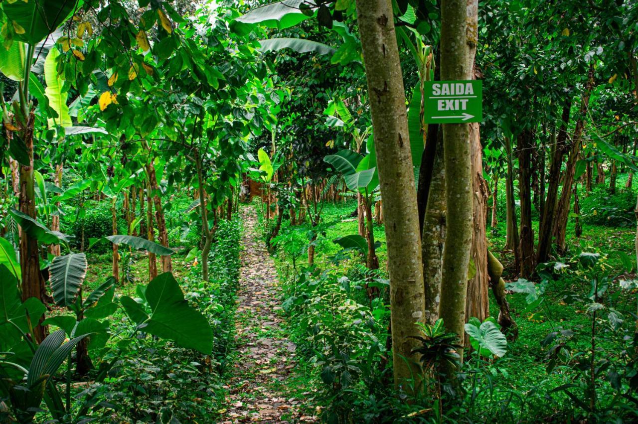 Rio do Ouro Eco-Por 빌라 외부 사진