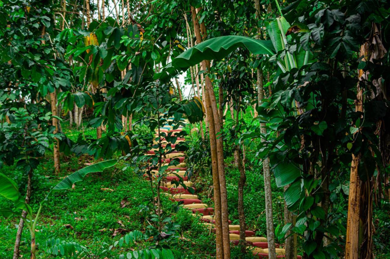 Rio do Ouro Eco-Por 빌라 외부 사진