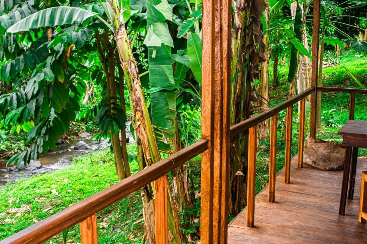 Rio do Ouro Eco-Por 빌라 외부 사진